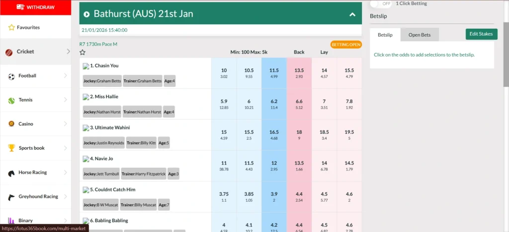 Horse Racing Betting